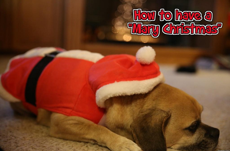 How to Have a “Mary” (Not Martha) Christmas (Luke 10:38–42)